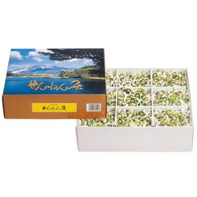 せんねん灸 ソフトきゅう竹生島 にんにくきゅう近江 せんねん灸