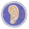 耳針療法のためのポイントマスター