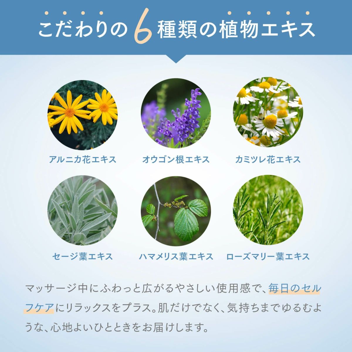 MSMクリーム【日本製】　140g