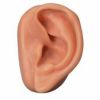 耳鍼モデル、左耳　N15 1L