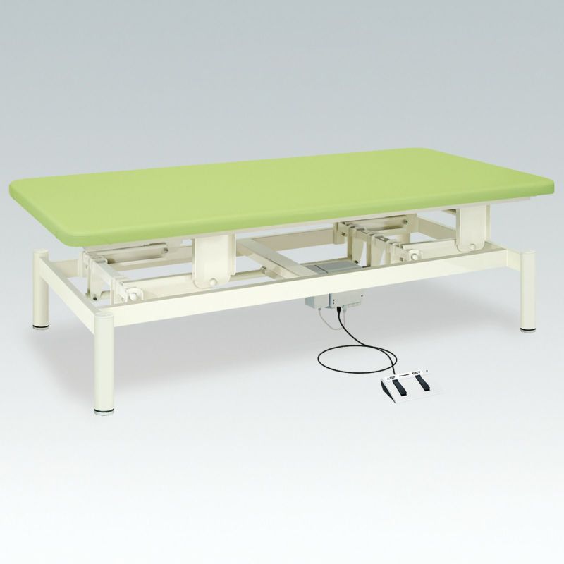 電動ホーム（1）