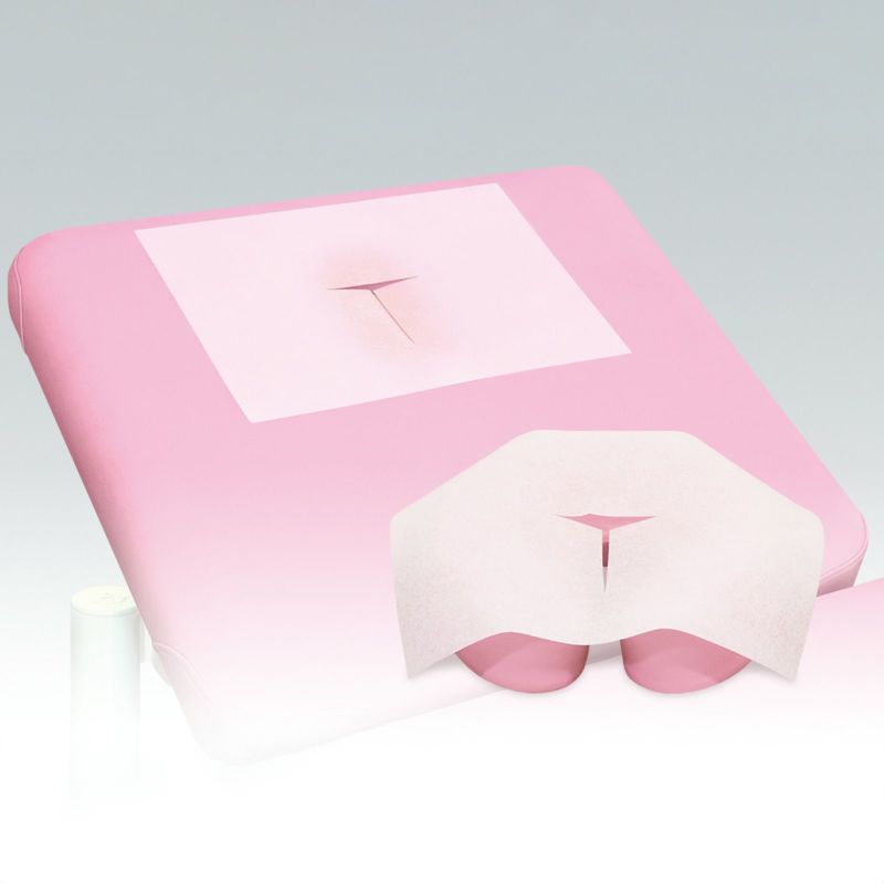 美顔ペーパー　500枚