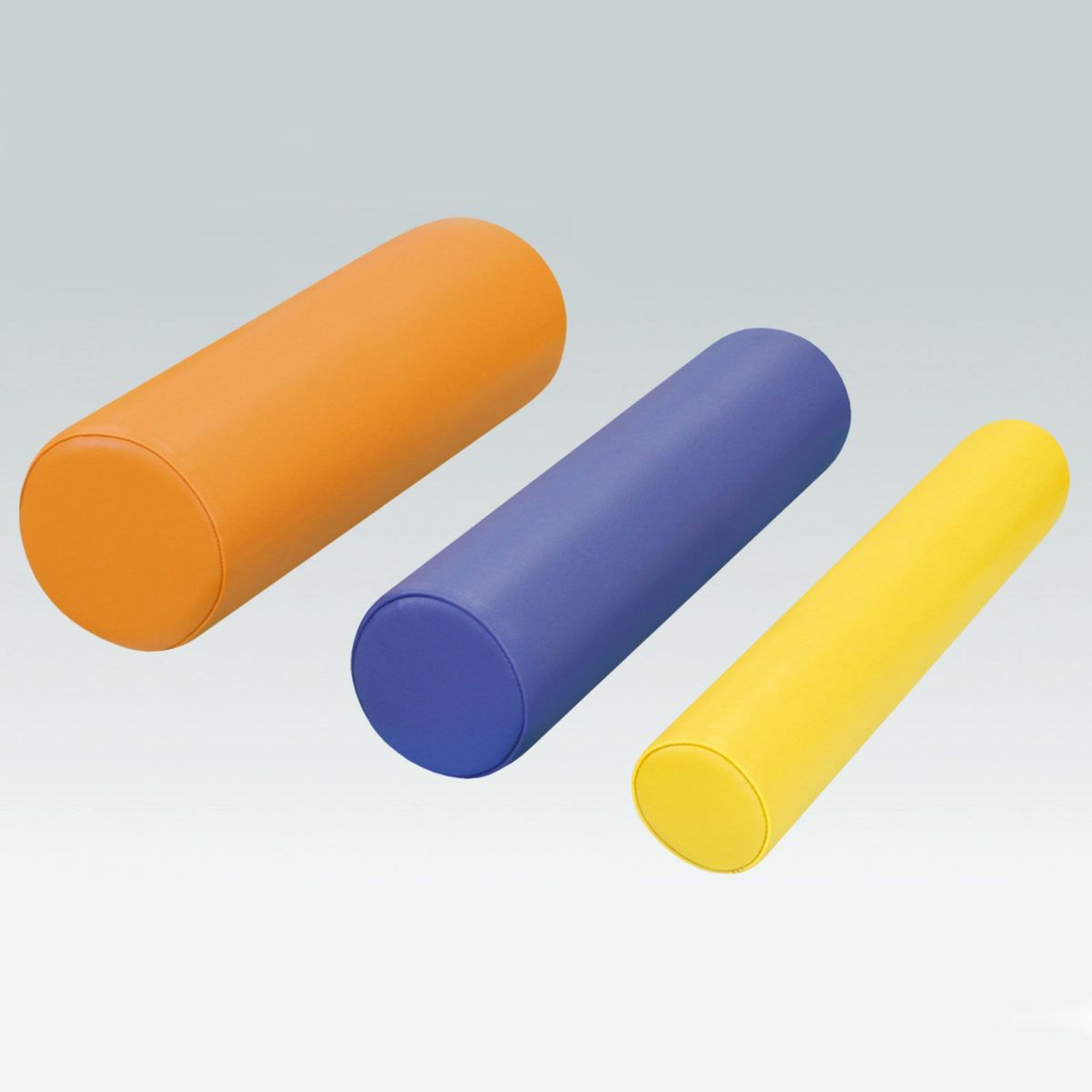 カラーサークル（大）　TB-77C-53