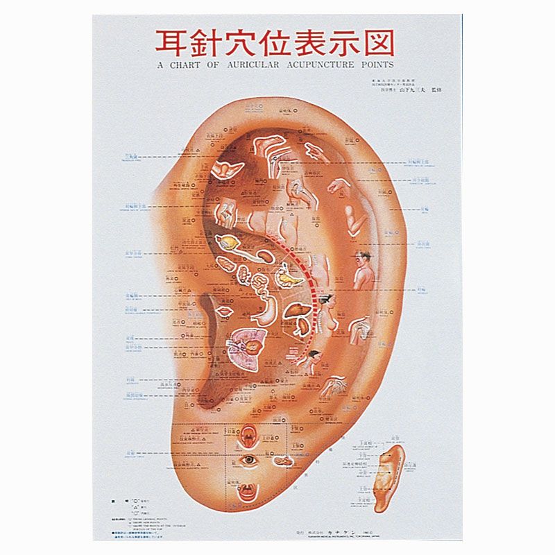 耳介図カラー図鑑
