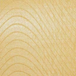 ニトリート　キネシオロジーテープ【まとめ買い】