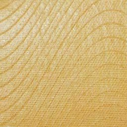 ニトリート　キネシオロジーテープ(撥水タイプ)【まとめ買い】