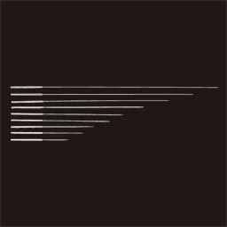 カナケン　ステンレス針（5分・8分）(5分(15mm), 00番 0.13)