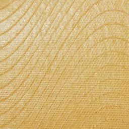 ニトリート　キネシオロジーテープ(撥水タイプ)