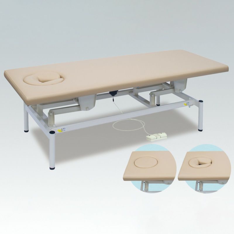 オメガ式電動リモス