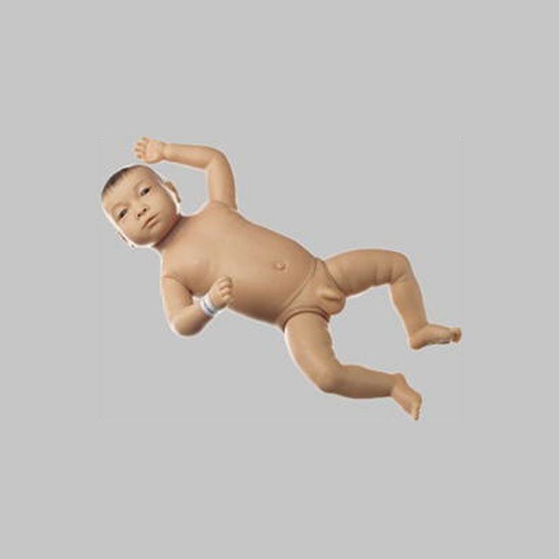 赤ちゃん模型（男児）