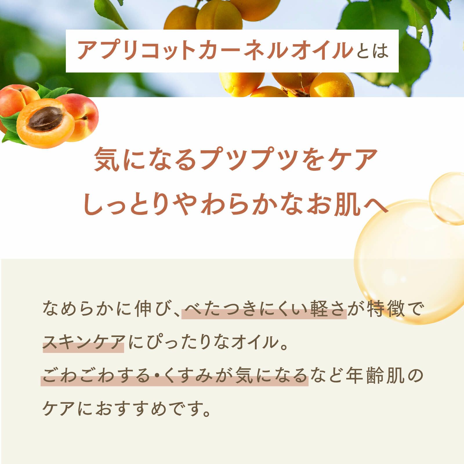 【1000ml】アプリコットカーネルオイル アプレミディ