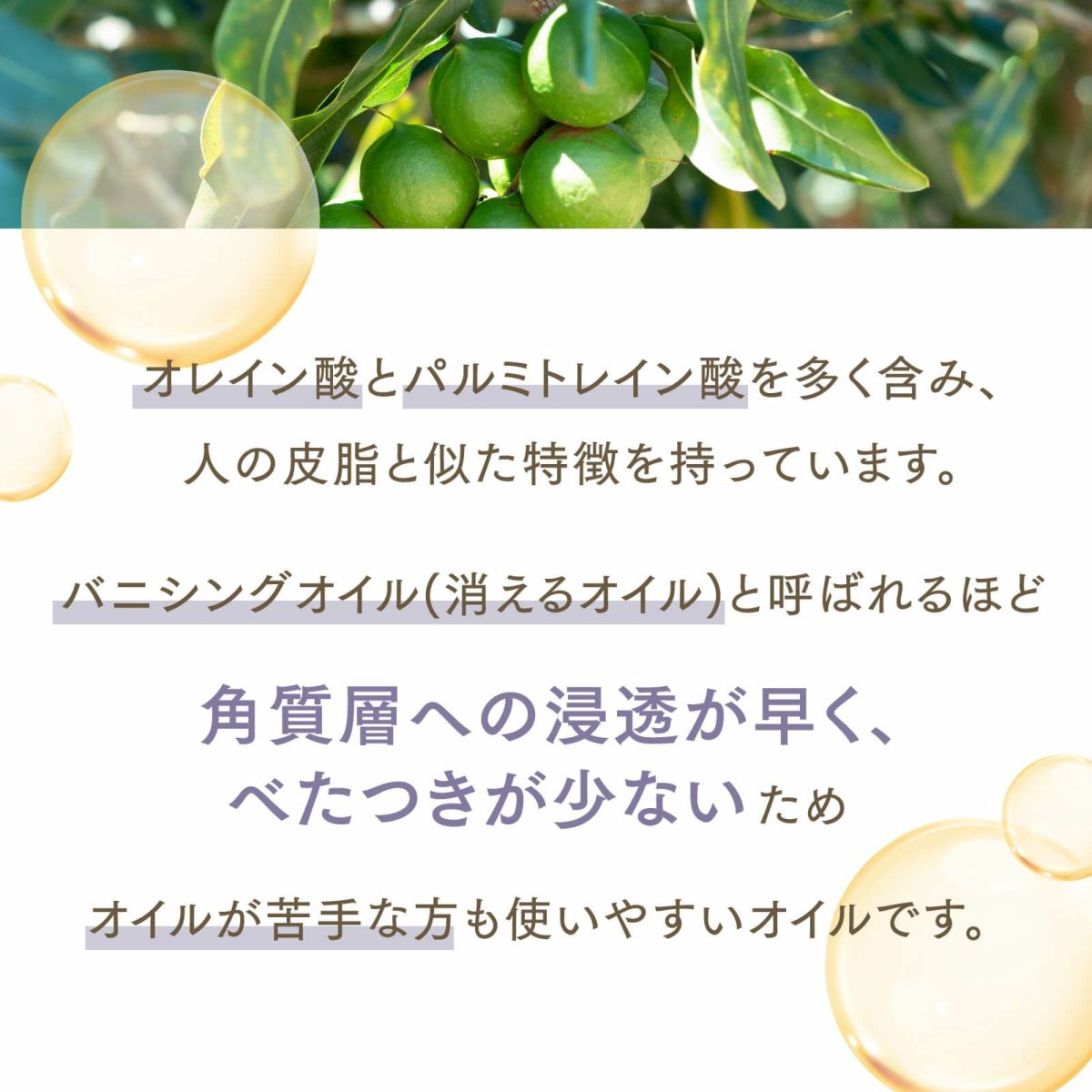 【300ml】マカダミアナッツオイル アプレミディ