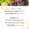 【300ml】グレープシードオイル アプレミディ