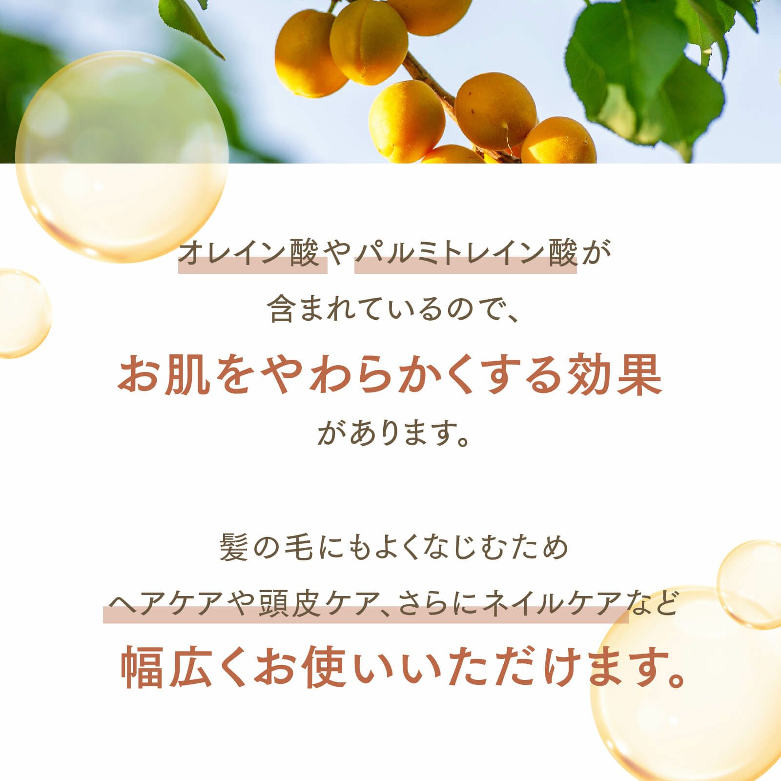 【300ml】アプリコットカーネルオイル アプレミディ