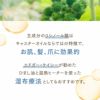 【300ml】キャスターオイル アプレミディ