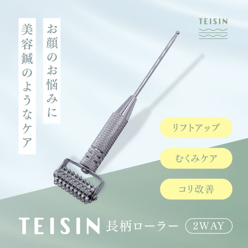 トワテック TEISIN 長柄ローラー（2WAY）