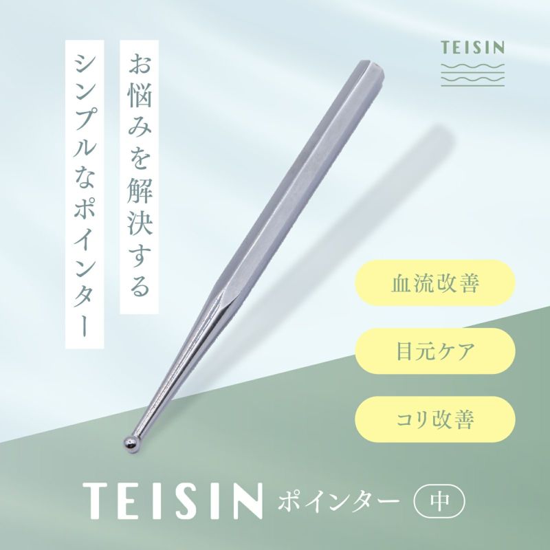 トワテック TEISIN ポインター（中）