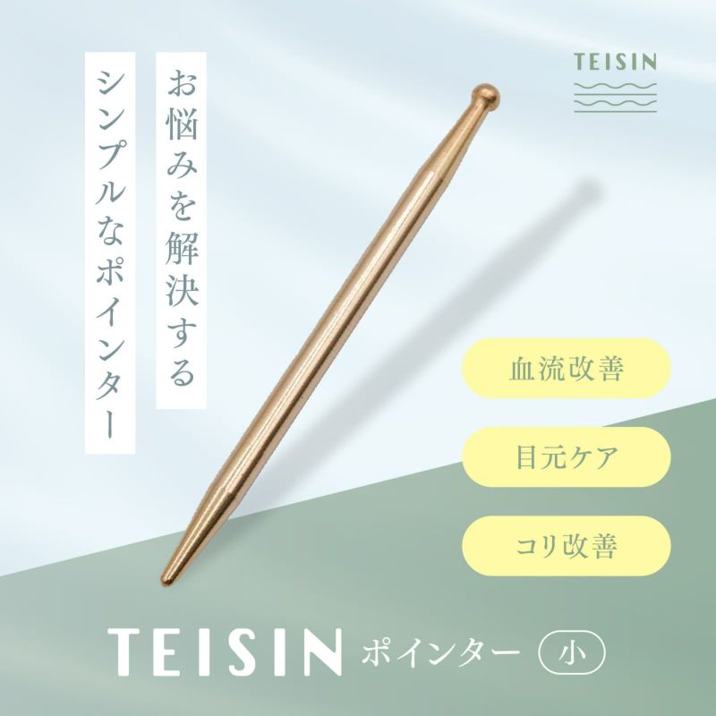 トワテック TEISIN ポインター（小）