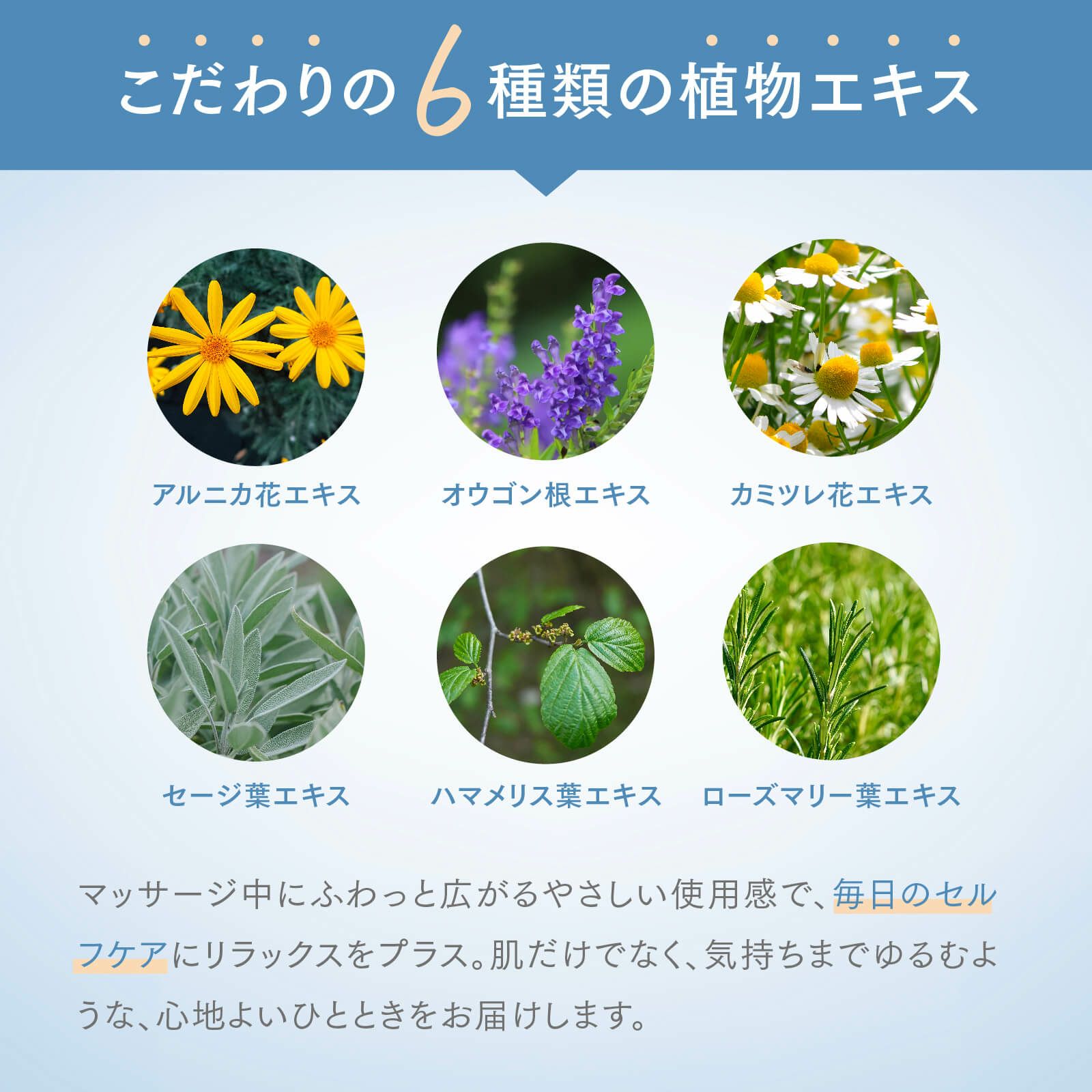 【店舗販売・6個～】MSMクリーム 140g 日本製
