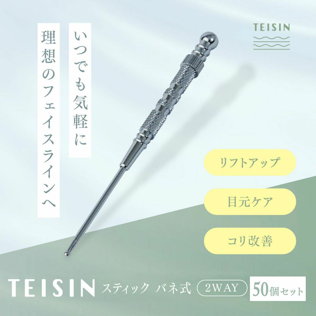 トワテック TEISIN スティック バネ式（2WAY）【まとめ買い】
