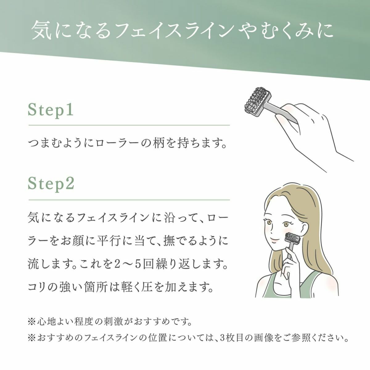 【店舗販売・12本～】トワテック TEISIN ローラー（2WAY）