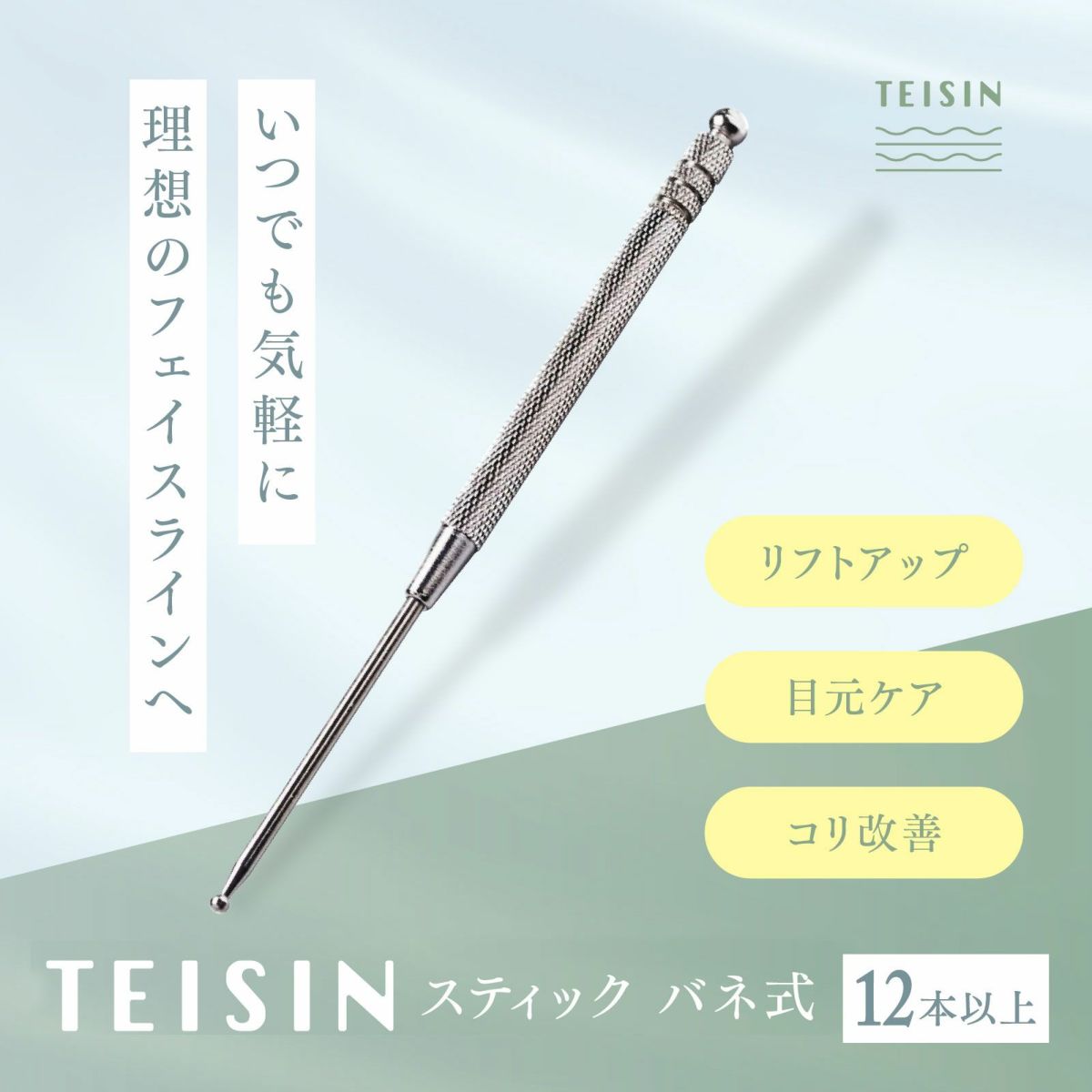 【店舗販売・12本～】トワテック TEISIN スティック バネ式