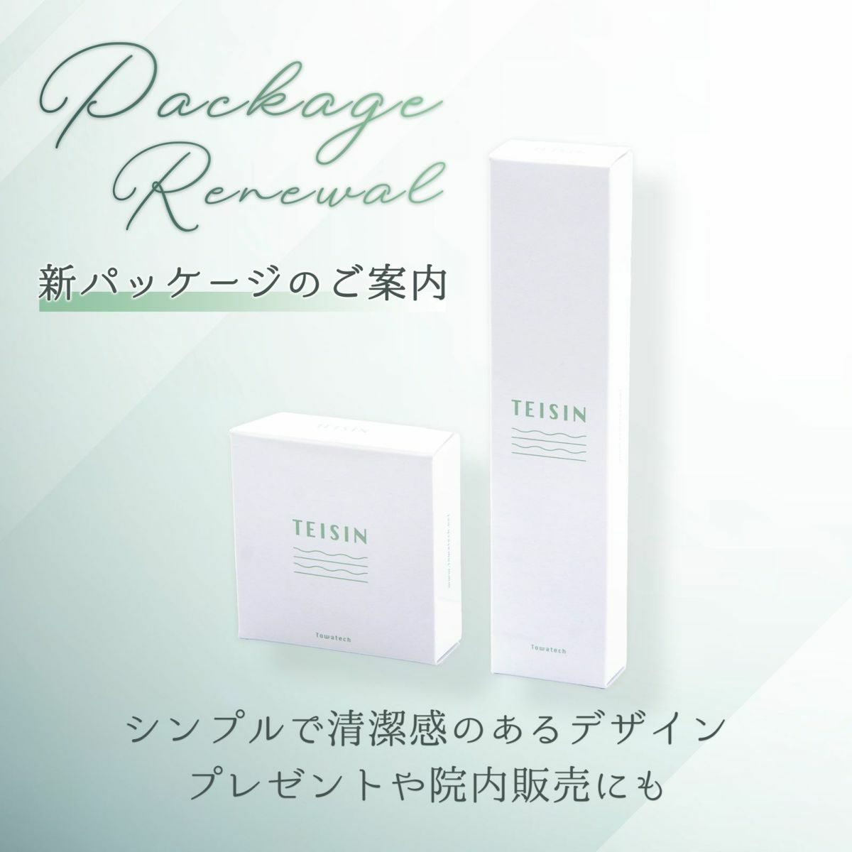 【店舗販売・6本～】トワテック TEISIN スティック バネ式（2WAY）